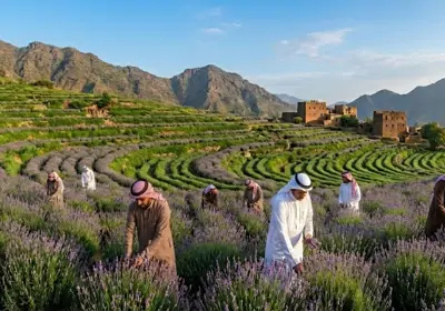 مشروع التوعية البيئية المجتمعية