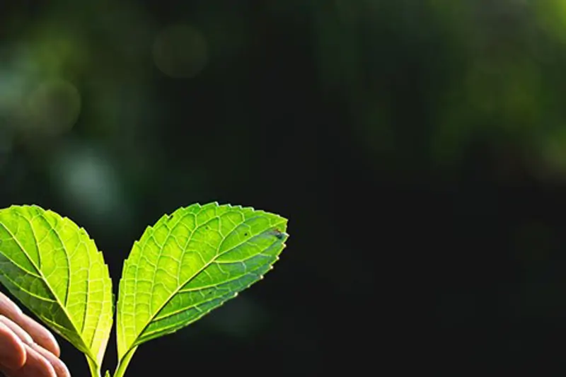 0